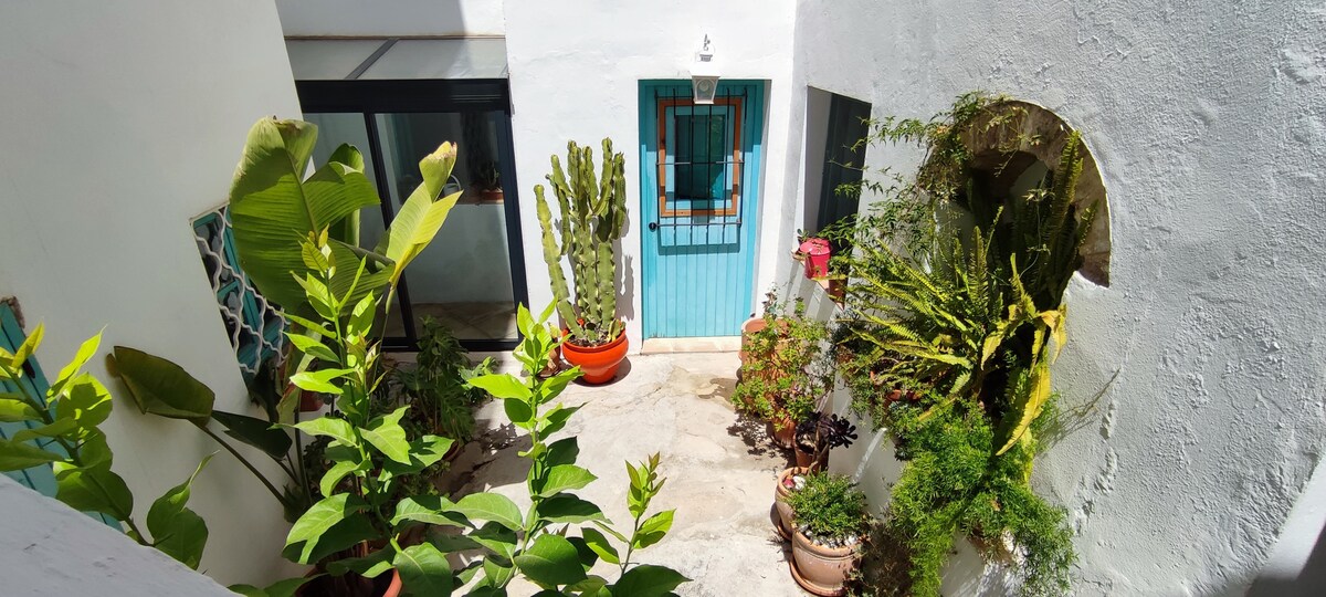 An interior courtyard is featured, surrounded by white walls. Potted plants, including cacti and tropical foliage, are arranged in various spots. A bright blue door provides a focal point, with a window visible to the left. Sunlight enhances the natural greenery and creates a serene atmosphere.