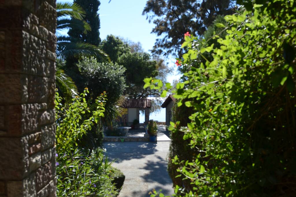 View from the terrace