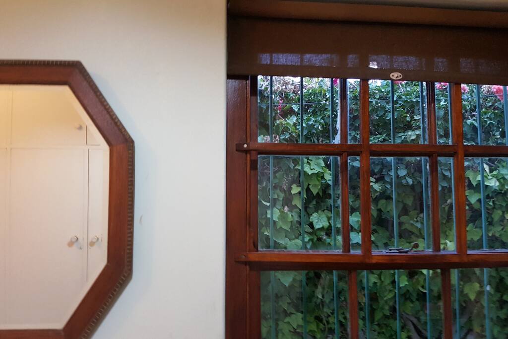 Mirror