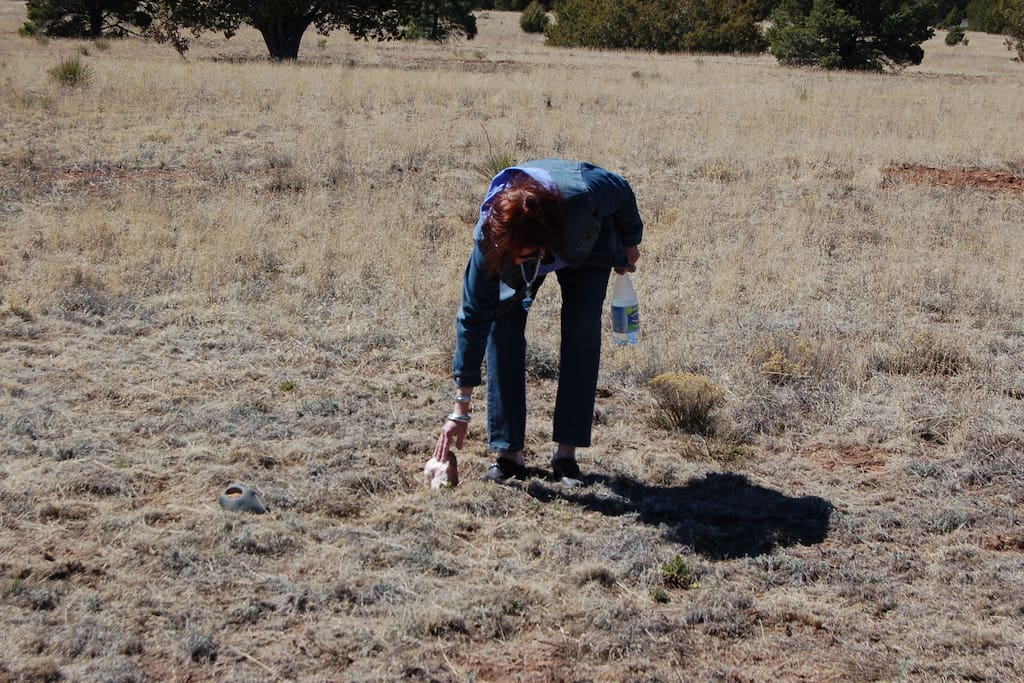 We planted the first stones of the Medicine Wheel in 2012