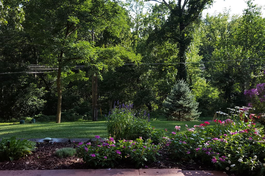 Summer view from the front porch