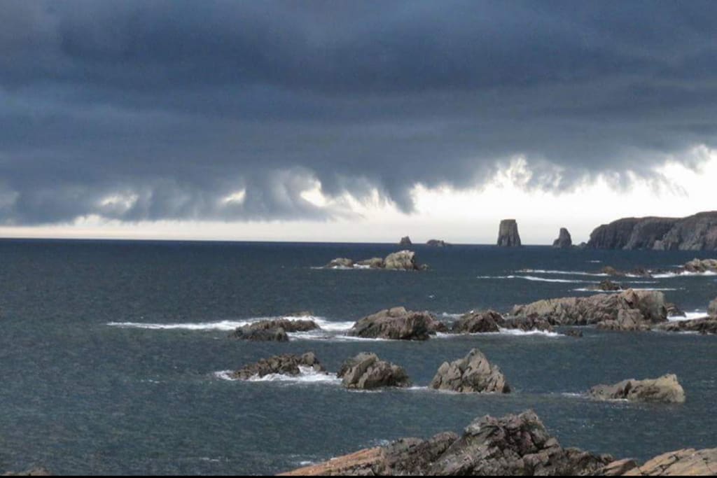 cape bonavista