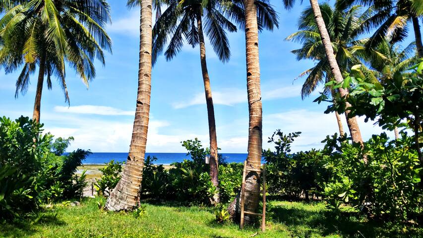 Tarzan's House managed Airbnb listing 3