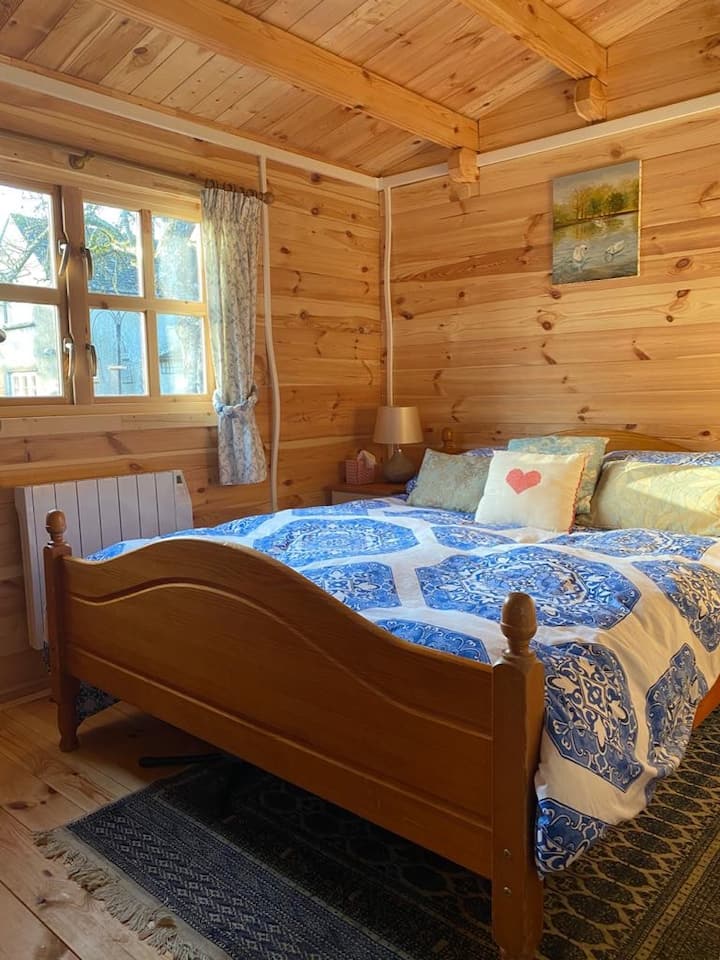 يظهر هذا غرفة النوم الواحدة 