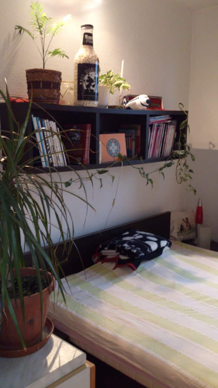 Listing Photo