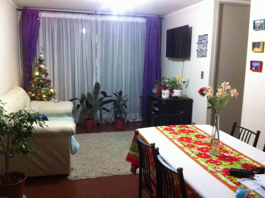 Departamento amoblado incluye 2 dormitorios, cocina, sala de estar, wifi, buena locomocion a solo 15 min del centro de Concepcion y Universidades, Arriendo por dia o por mes.