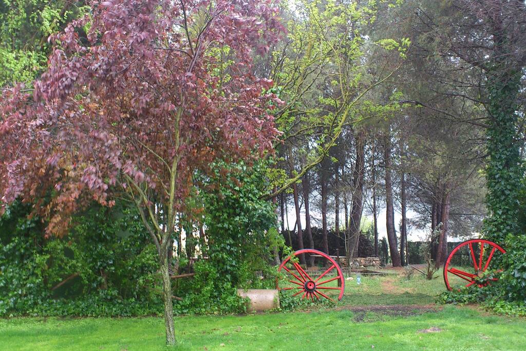Jardín con pinada privada.