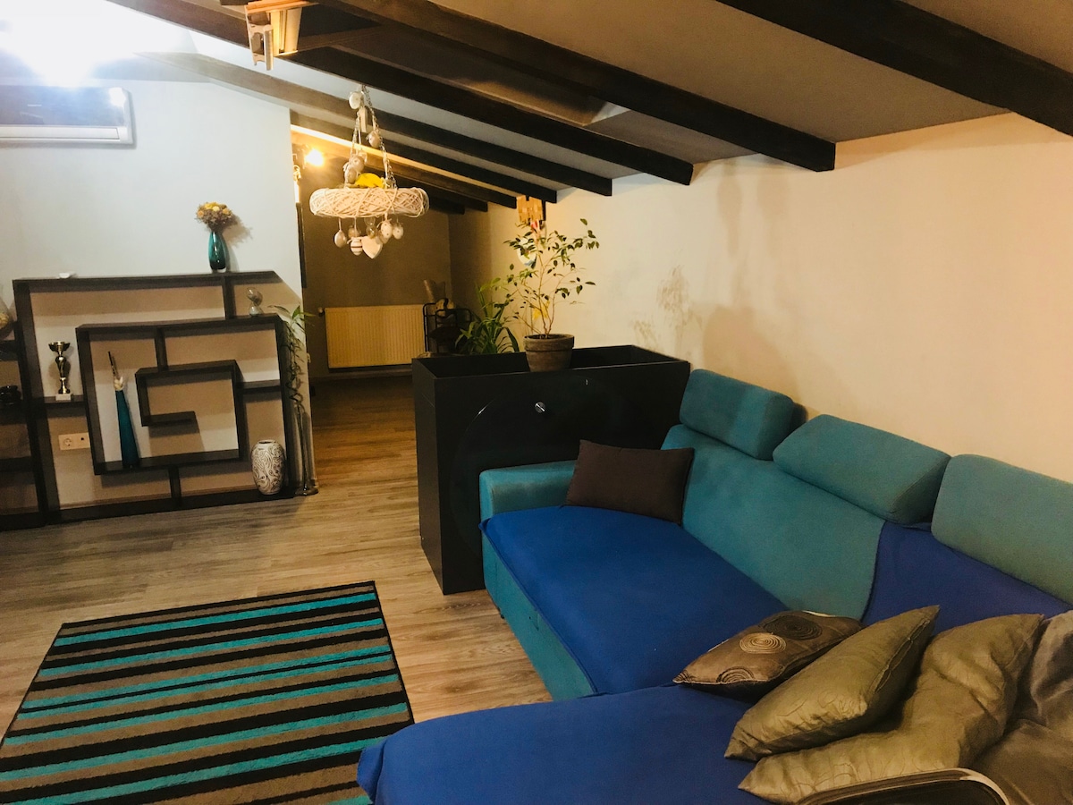 A spacious living area features a blue sectional sofa, complemented by decorative pillows. A geometric rug lies beneath, showcasing vibrant stripes. Shelving units, adorned with decorative items, are positioned against the wall. A potted plant adds a touch of greenery, while exposed wooden beams enhance the ceiling.
