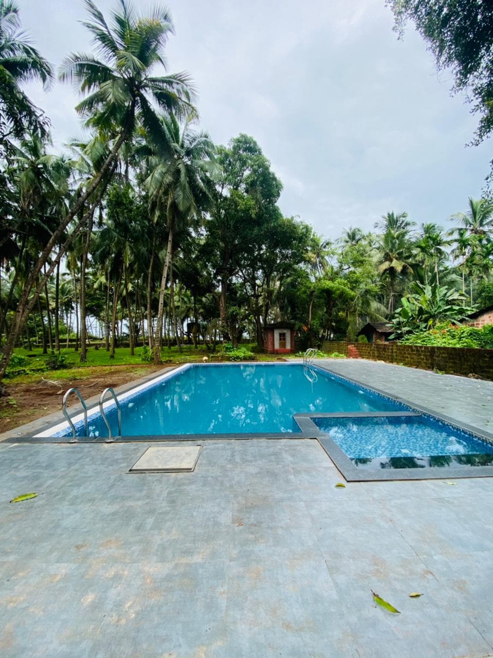 A swimming pool is framed by lush greenery, featuring tropical palm trees surrounding its perimeter. The pool includes a jacuzzi section, with steps leading into the clear water. Soft gray tiles cover the surrounding deck, enhancing the tranquil outdoor setting.