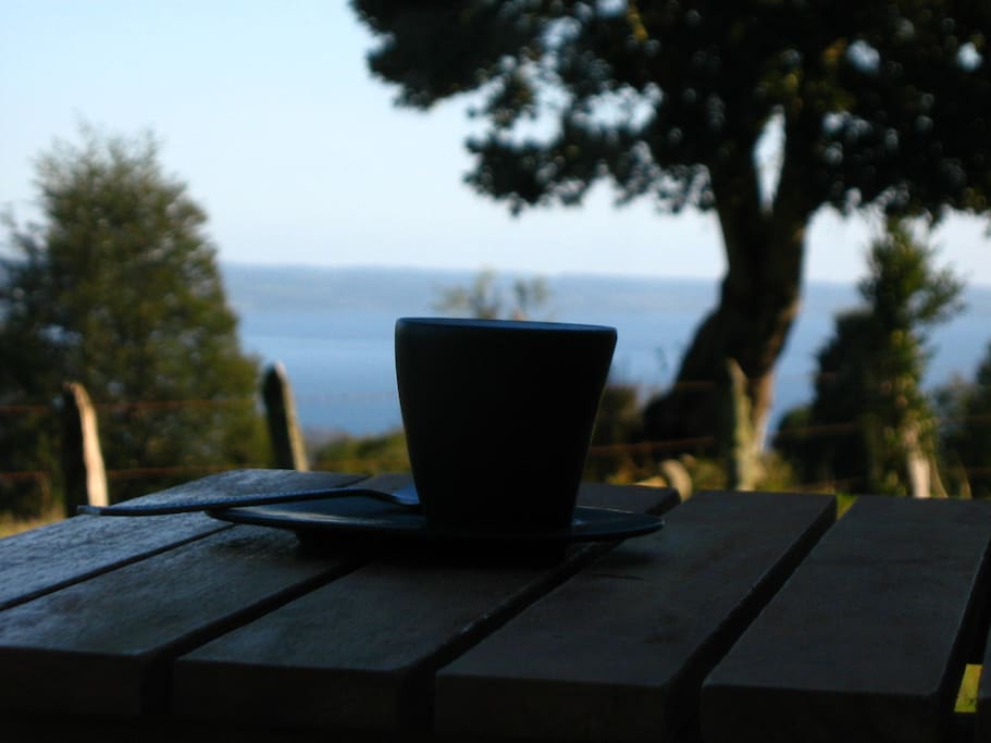 Disfrutando en la terraza con vista al Lago Rupanco