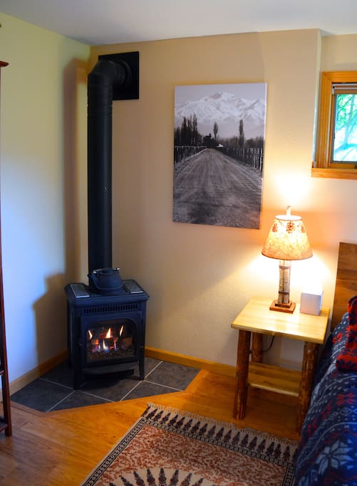 Gas fireplace