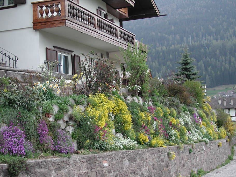 Fioritura primaverile