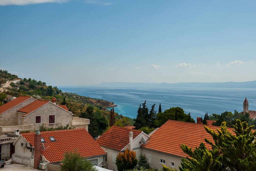 the view