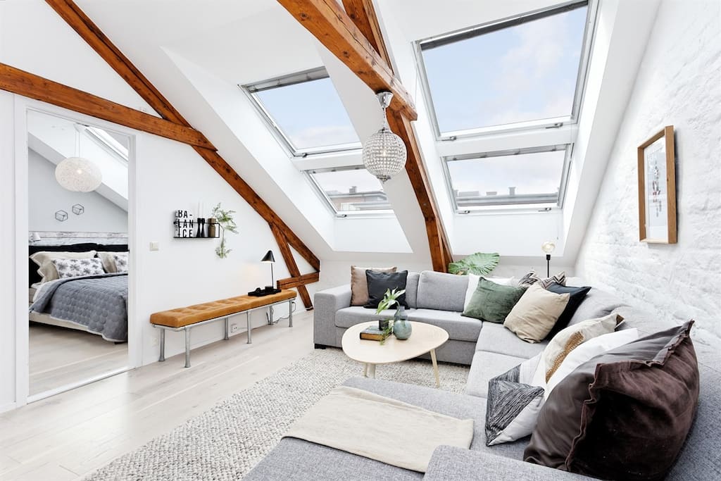 Large living room downstairs with lots of light