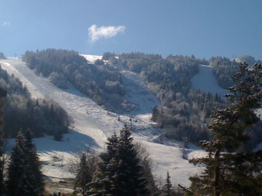 Pistes de ski