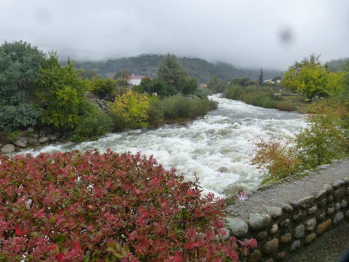A flowing river is depicted, surrounded by lush greenery and flowering plants. The water appears rapid amid a cloudy backdrop, with hints of distant hills shrouded in mist. The riverbanks are lined with a stone wall, adding a rustic touch to the natural scenery.