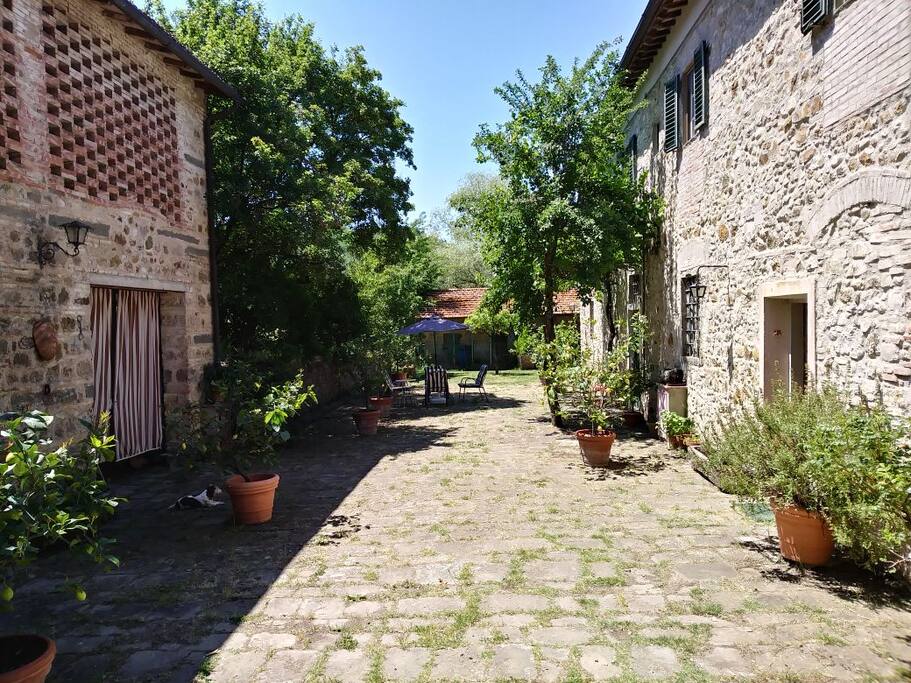 Cottage where the apartment is located, on the first floor