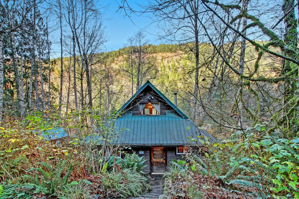 Charming cabin tucked amidst the trees and foliage.