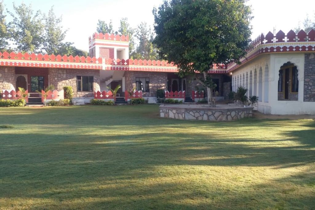 Front View