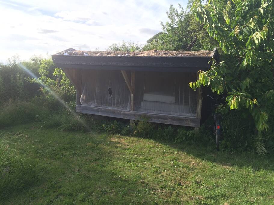 Shelter