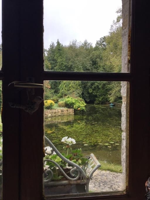 View from window onto pond