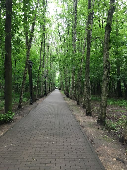 Филевский парк