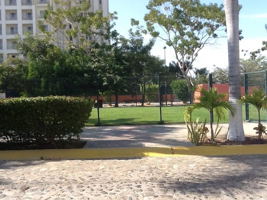 soccer field