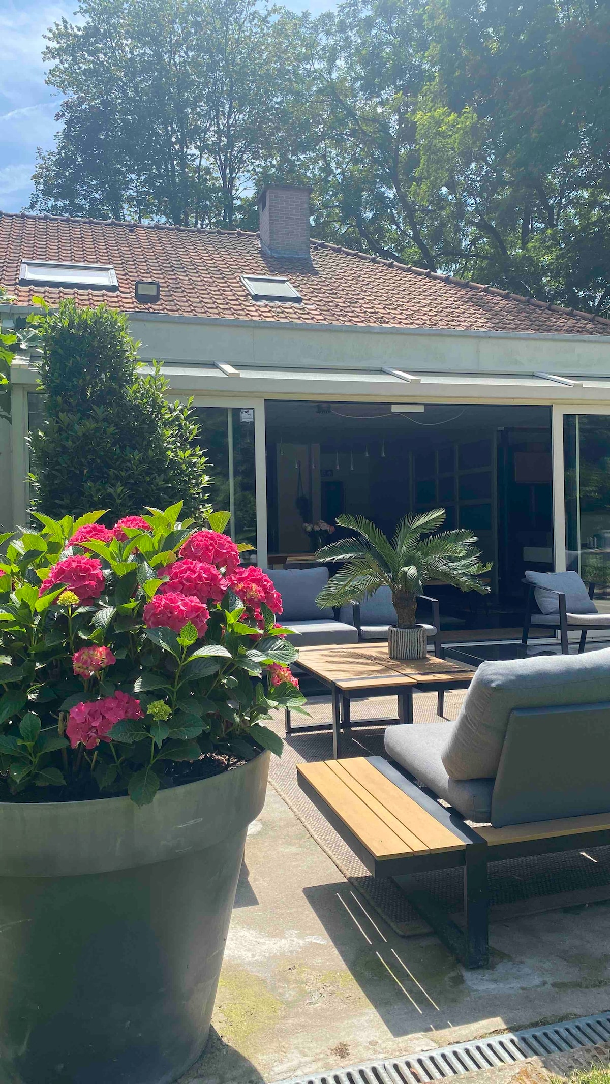 A spacious outdoor area features a mix of comfortable seating arrangements and a large potted plant with vibrant pink flowers. Glass doors provide a view into the living space, while greenery surrounds the patio, creating a refreshing ambiance.
