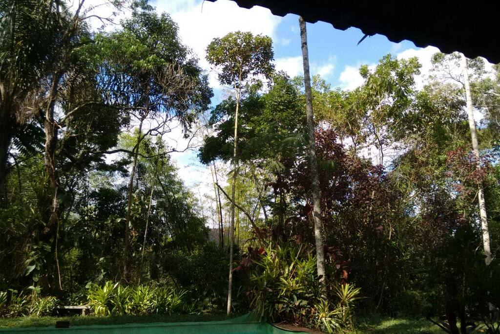 Natureza ao redor