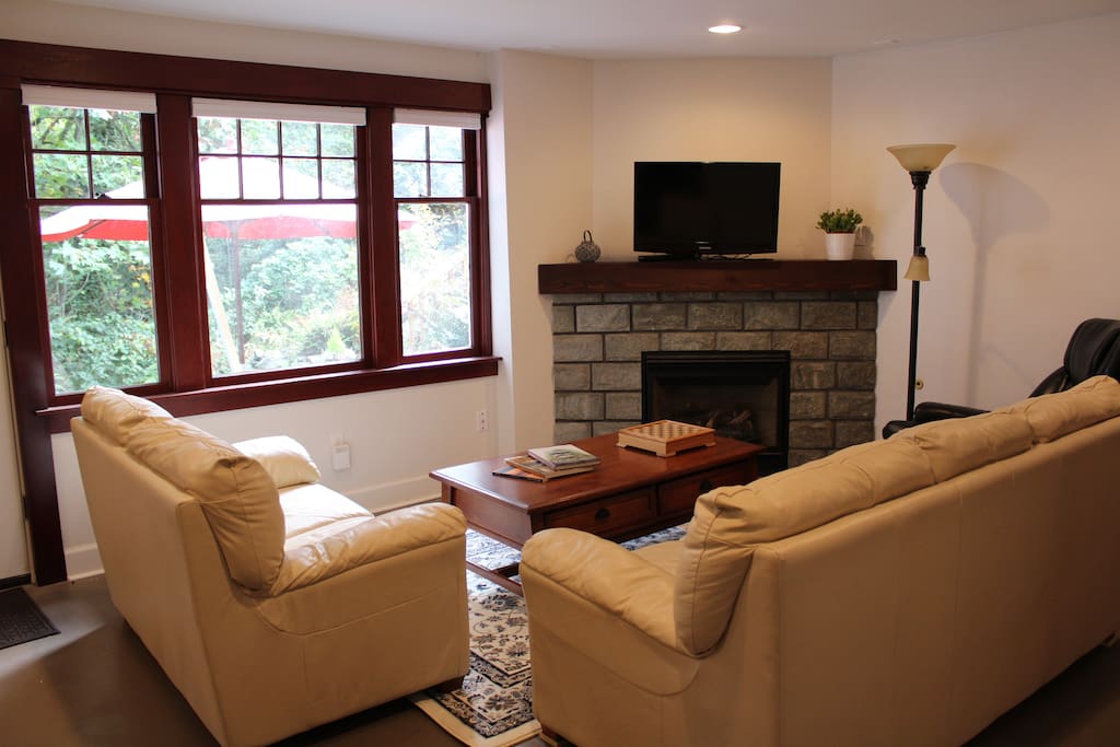 Living room with gas fireplace, tv, dvd & sleeper sofa
