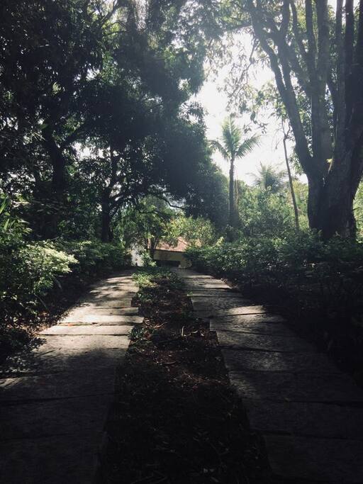 Venha curtir a natureza