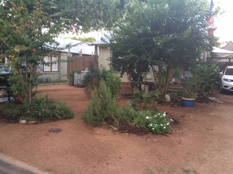 Front yard