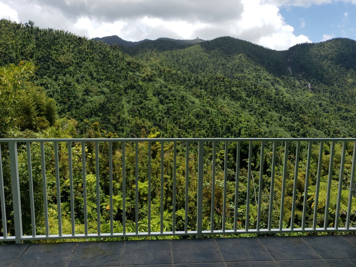 A scenic balcony view overlooks a dense, lush rainforest, punctuated by varying shades of green. The mountains rise in the background under a partly cloudy sky, creating a serene and natural environment.