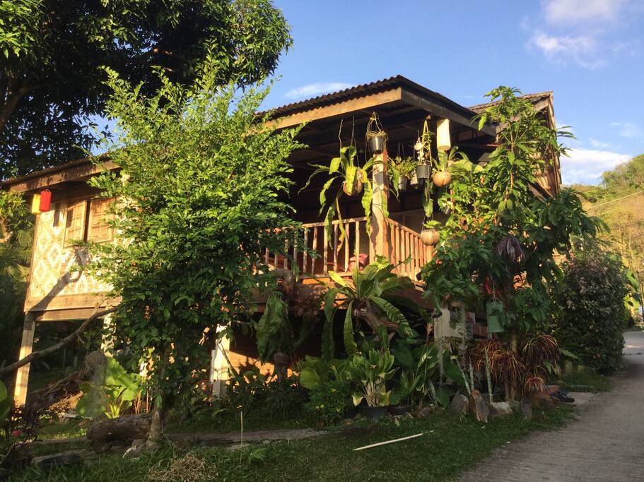 Your house, natural BROWN wood house, 40 meters up above beach
