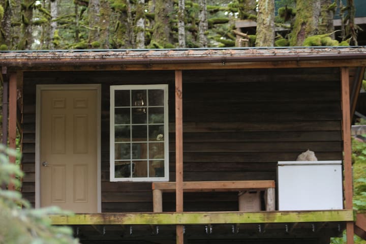 Airbnb Afognak Vacation Rentals Places To Stay Alaska