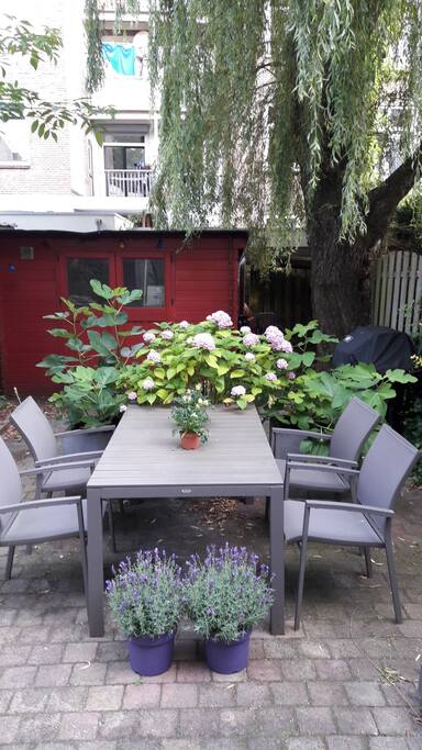 garden