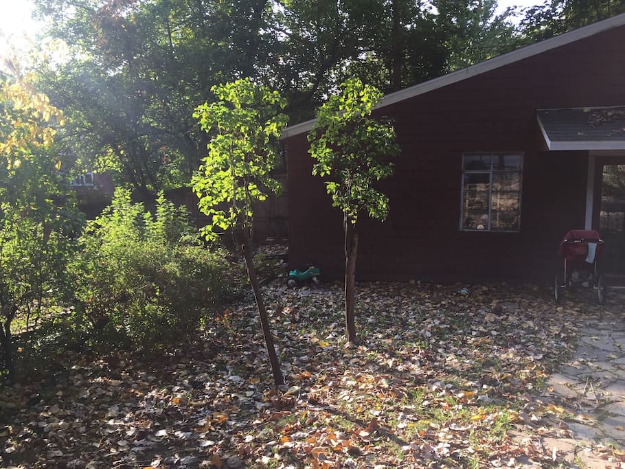 Fall, facing studio where the bikes are stored, in the back yard.