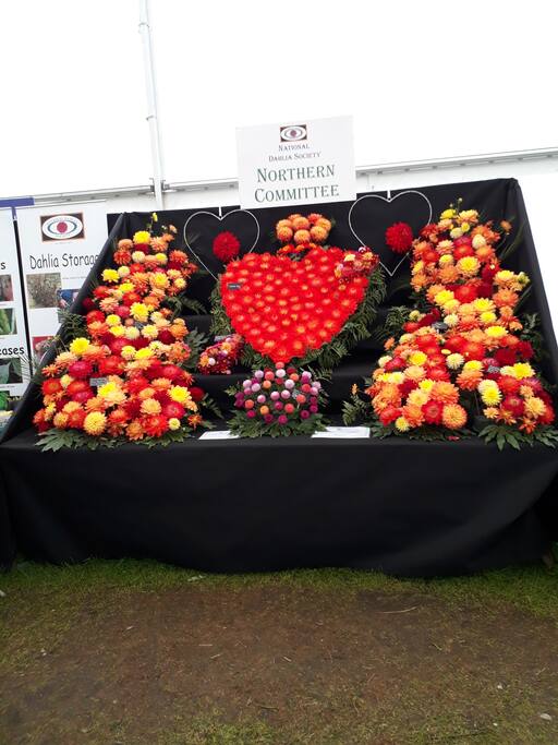 Flower Show 20 mins walk away