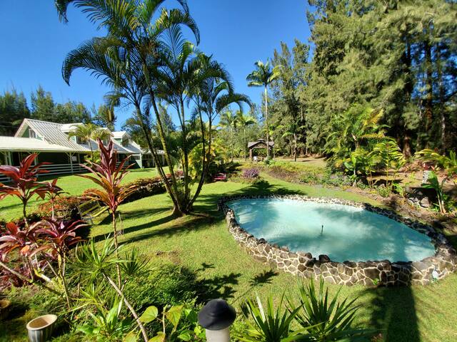 Fern Acres B&B 8 bed 8.5 bath Licensed.