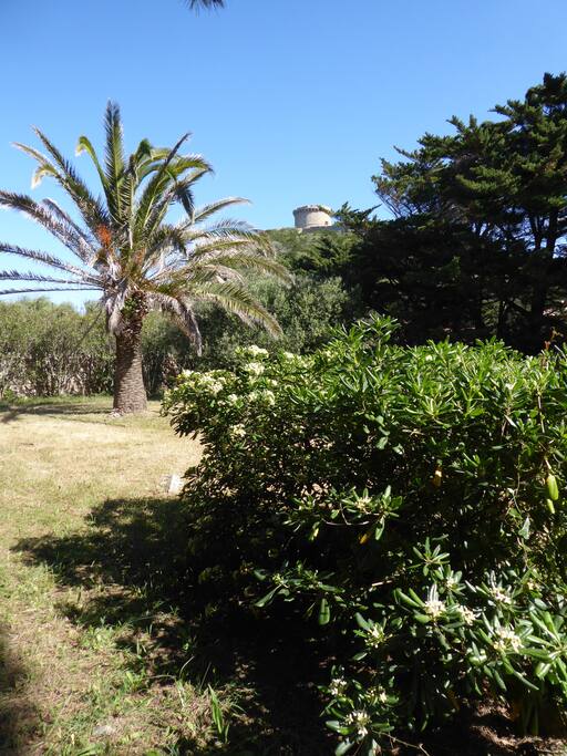 La tour depuis le jardin.