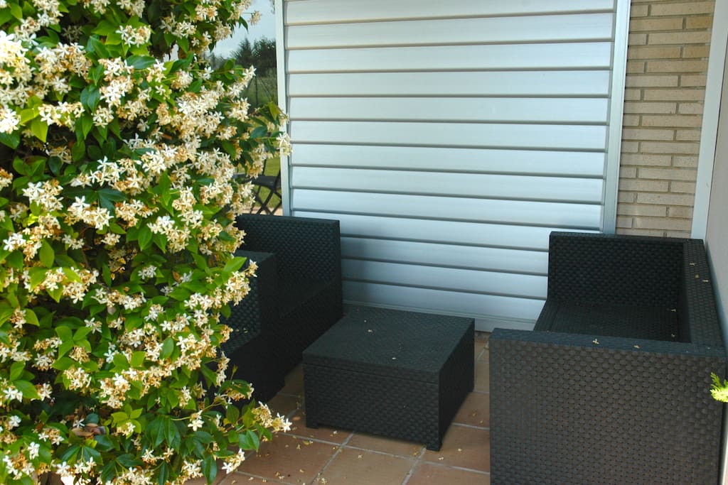 terraza