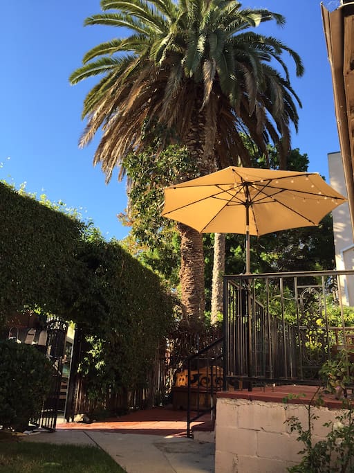 side view of the patio with humongous palm tree
