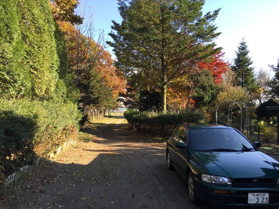 Driveway in Autumn