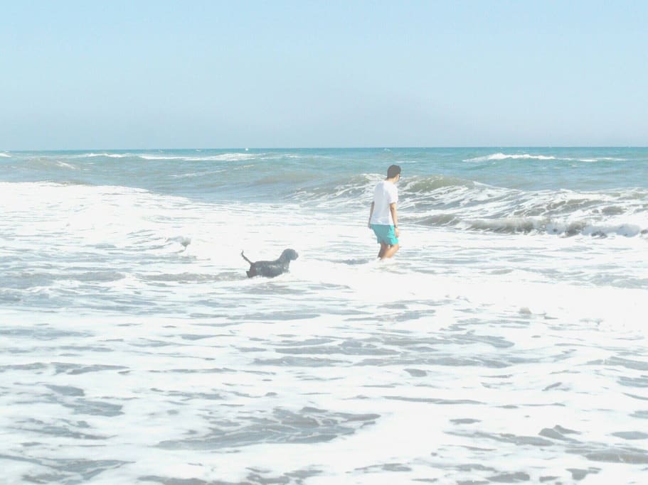 Donde puedes disfrutar de un buen paseo por la playa con tu mascota.