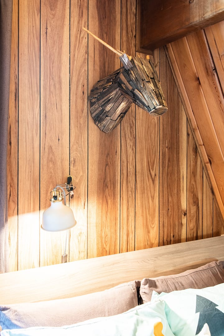 נגיעות של בעלי חיים בוודלנד לאורך