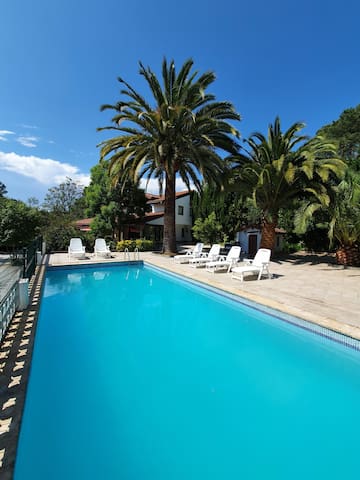 Dreams and friends on the coast of Bilbao. gallery image 3