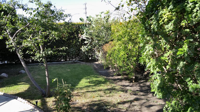 Revi Garden