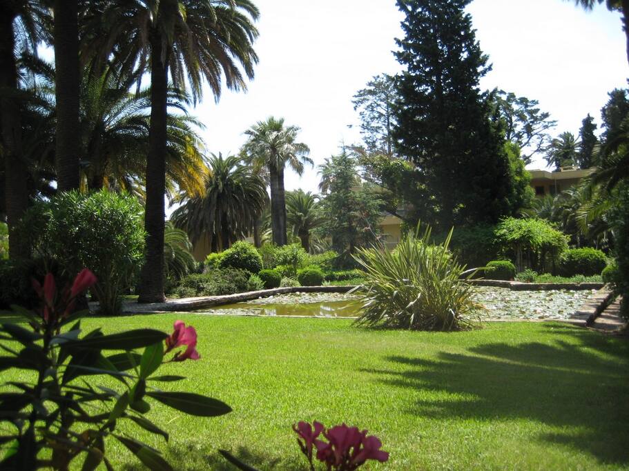 Mare aux canards et aux tortues dans la residence