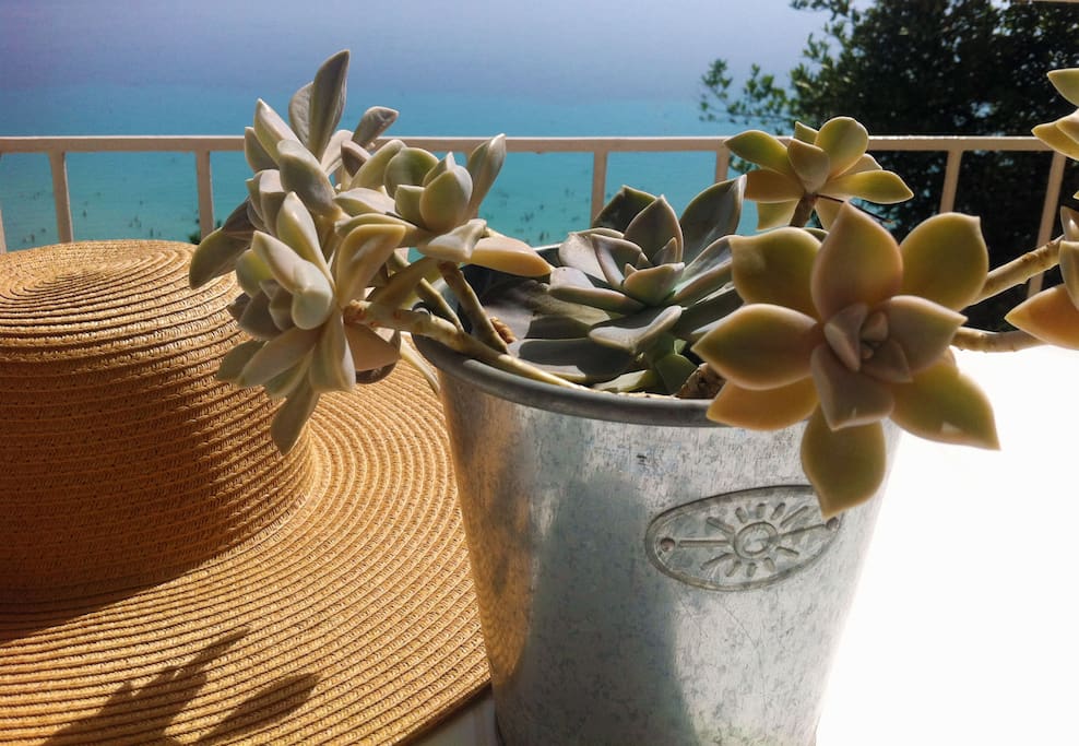 cactus & hat at the balcony