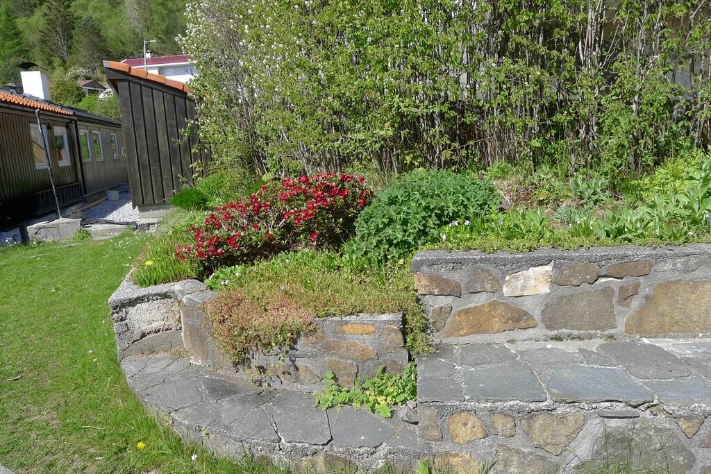 Upper garden